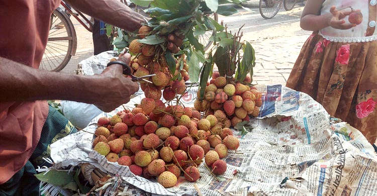 কেজিতে বিক্রি হচ্ছে লিচু, লাভ নাকি ক্ষতি