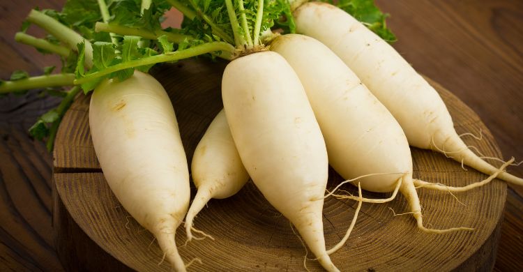 পুষ্টিগুণের কথা শুনলে শীতের যে সবজি আর এড়িয়ে যাবেন না