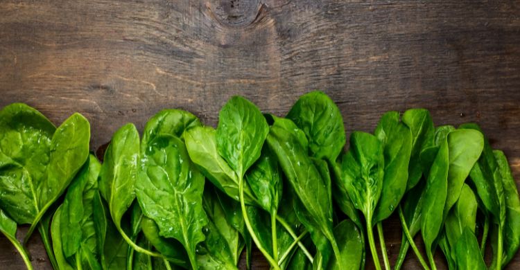 এক শাকেই মিলবে ৭ উপকার