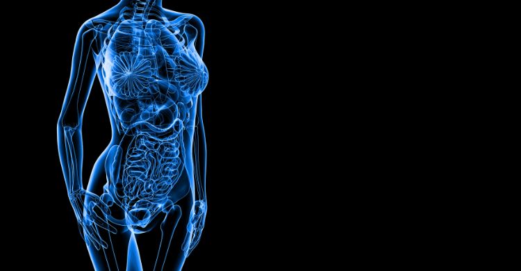 চল্লিশের পর বাড়তে থাকে নারীর স্বাস্থ্যঝুঁকি