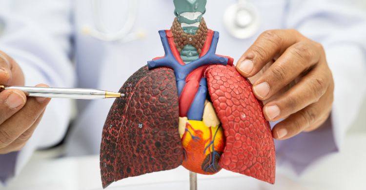 ধূমপায়ীর ধোঁয়ার সংস্পর্শে থাকলেও ফুসফুসে ক্যানসার হতে পারে