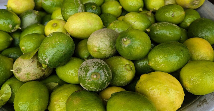 মিরসরাইয়ে লেবুর হালি ১০০ টাকা