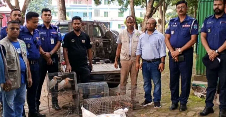নড়াইলে অবৈধ চিড়িয়াখানা থেকে ২৫ বন্যপ্রাণী উদ্ধার