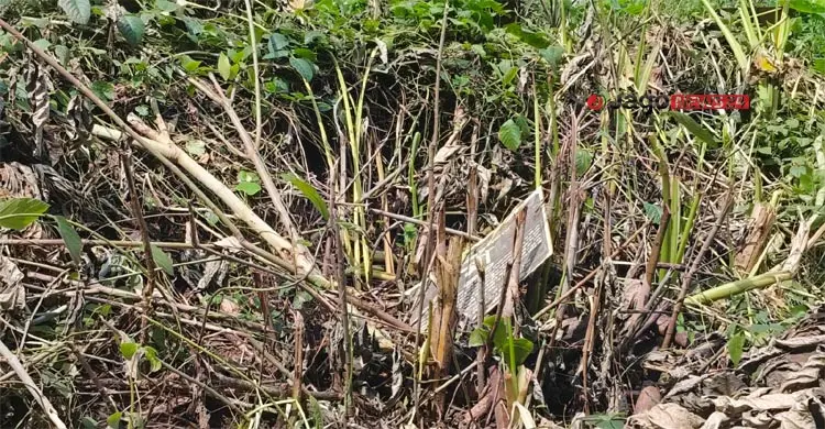 অযত্নে থাকা একটি কবর/ছবি: বিপ্লব দিক্ষীৎ