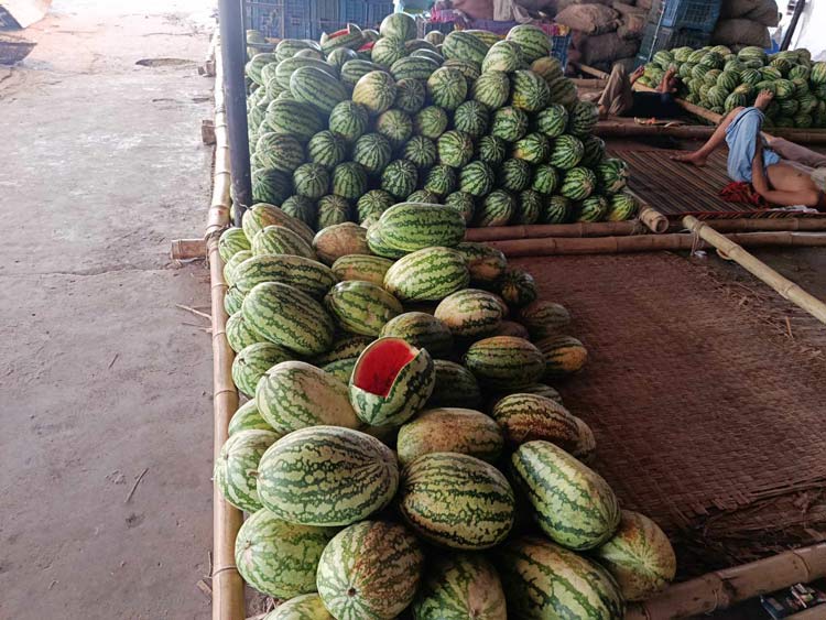 সরবরাহ কমের অজুহাতে বেড়েছে তরমুজের দাম