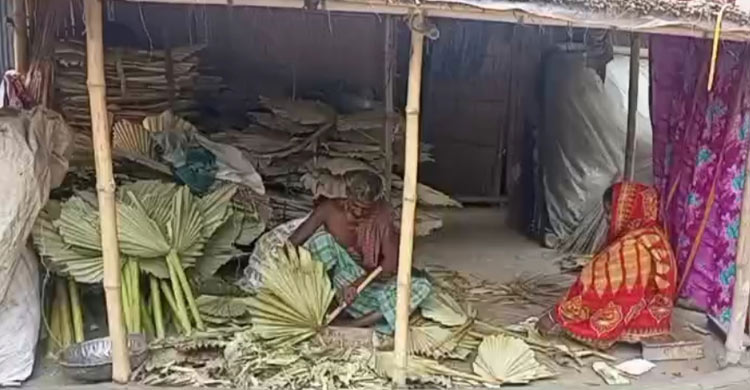 লাভ সীমিত, সংসার চালাতে হিমশিম হাতপাখা তৈরির কারিগররা