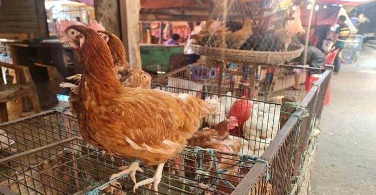 বরিশালে কমেছে সবজির দাম