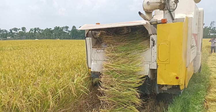 মেশিনে চাষাবাদে বেড়েছে ফলন, কমেছে পরিশ্রম-খরচ