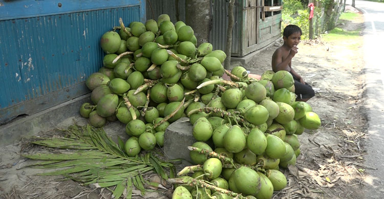 পিরোজপুরে ৬০ ঢাকায় ২০০!