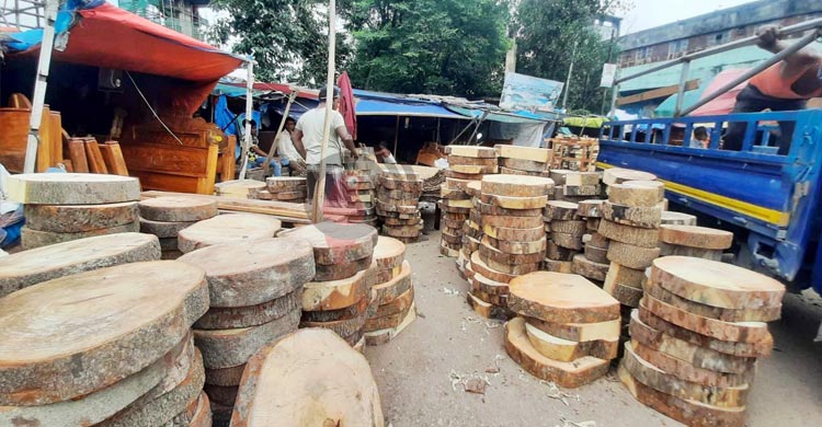 কোরবানির ঈদ এলেই চাহিদা বাড়ে তেঁতুল গাছের খাটিয়ার