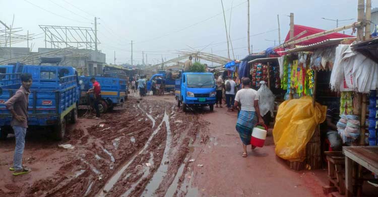 রাজধানীতে আসছে কোরবানির গরু, প্রস্তুত গাবতলী হাট