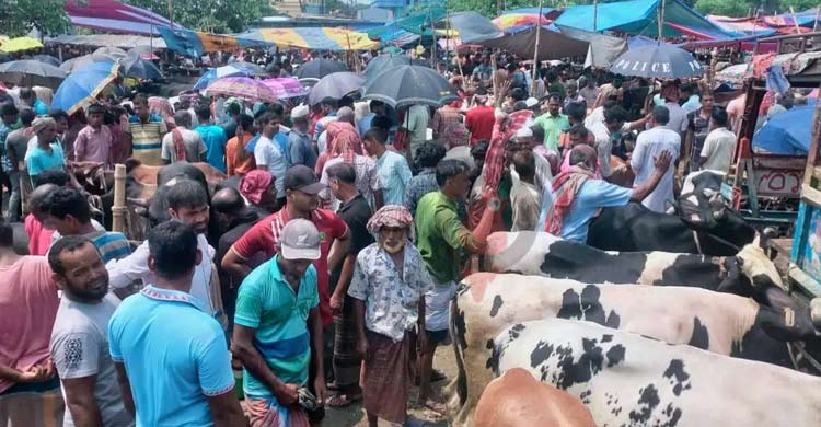 বাস্তবায়ন নেই সরকারি নির্দেশনার, কয়েকগুণ বেশি হাসিল আদায়