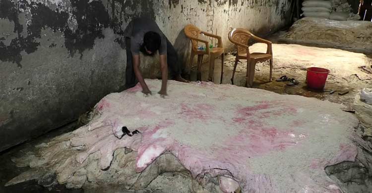 তিন সংকটে বন্দি রাজারহাট চামড়ার মোকাম
