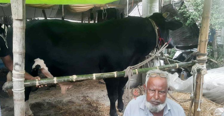 ক্রেতা মেলেনি, নওগাঁ ফিরে যাচ্ছে ‘কালাপাহাড়’