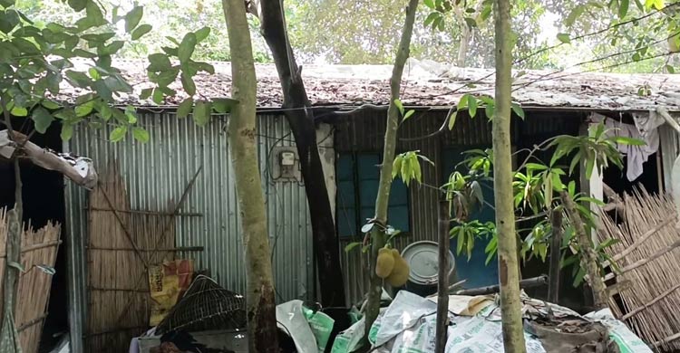 জরাজীর্ণ আশ্রয়ণ প্রকল্পের ঘর, বৃষ্টিতে পলিথিনে ভরসা
