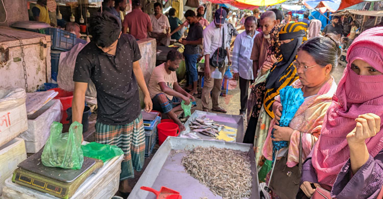 চড়া বাজারে নিম্ন-মধ্যবিত্ত আয়ের মানুষের ভরসা এখন চিংড়ি
