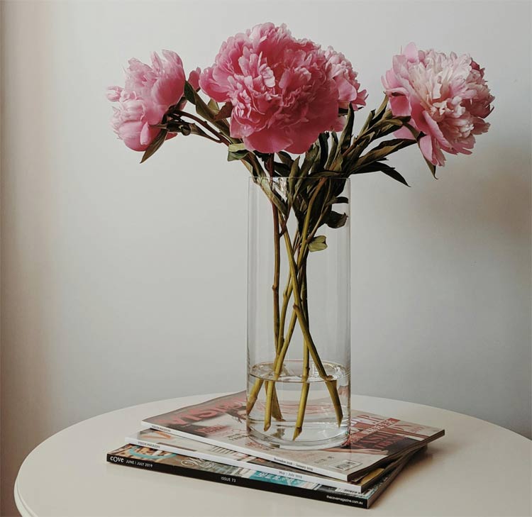 ঘরের কোথায় রাখবেন আপনার প্রিয় ফুলদানিটি