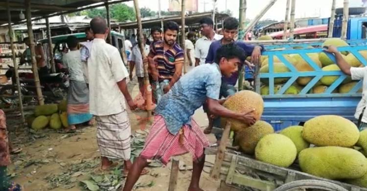 সংরক্ষণের অভাবে পচে নষ্ট লাখ লাখ টাকার কাঁঠাল