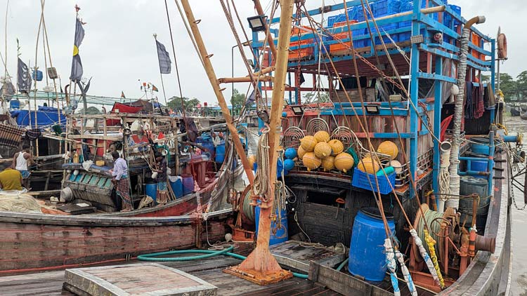 ট্রলিং ট্রলারে ধ্বংস হচ্ছে সমুদ্র সম্পদ, কমছে মাছের প্রজনন