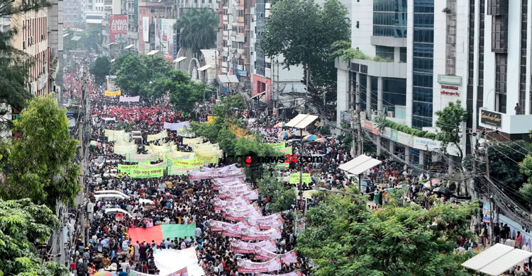 ঢাকায় বিজয় র‍্যালি বের করেছে বিএনপি