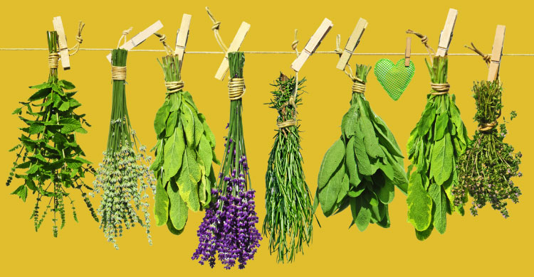 দাঁত ব্রাশ করাই যথেষ্ট না, নিঃশ্বাস সুগন্ধি রাখাবেন যেভাবে