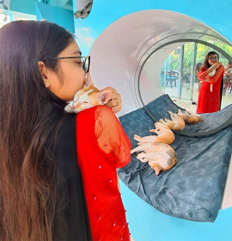 বিড়াল পুষলে কি মানসিক চাপ কমে
