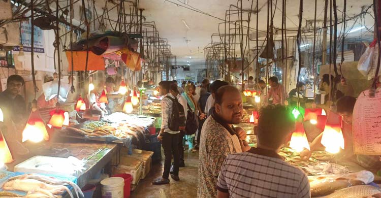 ছোট রুই-পাবদায় ক্রেতার আগ্রহ বেশি