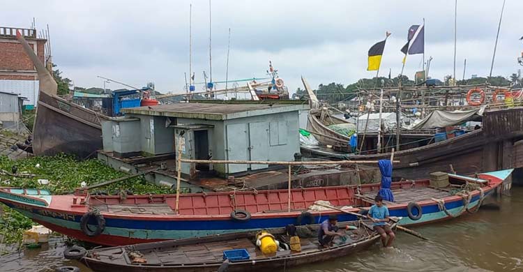 একদিনে মাছঘাটে এসেছে ৮০০ মণ ইলিশ