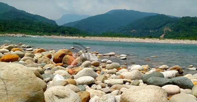 এক পাড়ের ‘নিয়ন্ত্রক‘ পদ হারালেও অন্যরা ধরাছোঁয়ার বাইরে