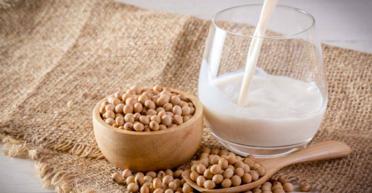 গরুর দুধ সহ্য হয় না? গাছও হতে পারে দুধের উৎস