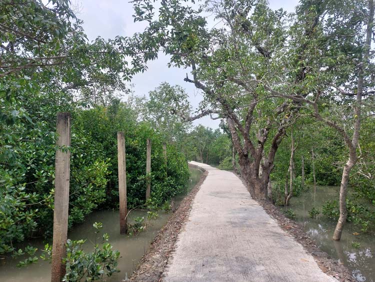নিষেধাজ্ঞা শেষে সোমবার উন্মুক্ত হচ্ছে সুন্দরবন