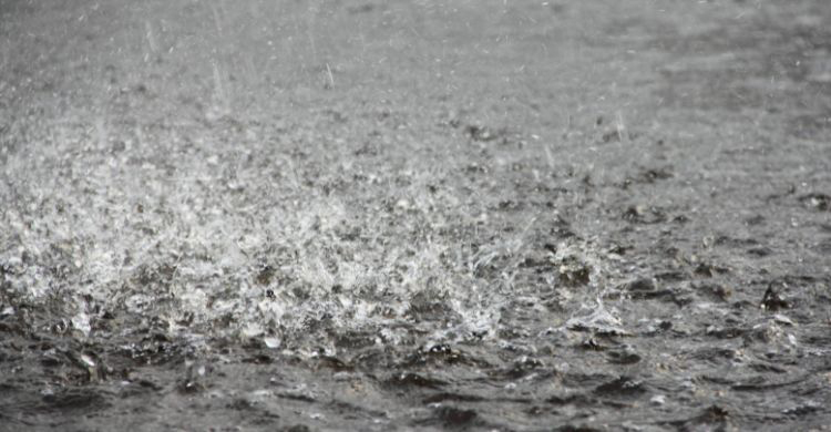 তাপমাত্রার ওঠা-নামায় সুস্থ থাকবেন যেভাবে