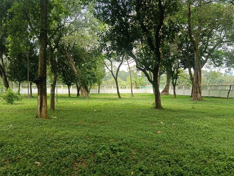 সার্কিট হাউজের অর্ধশত গাছ কেটে নতুন ভবন নির্মাণের উদ্যোগ