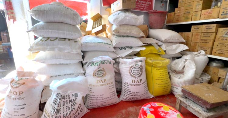 পেঁয়াজ চাষে হতাশা বাড়াচ্ছে সার ‘সিন্ডিকেট’