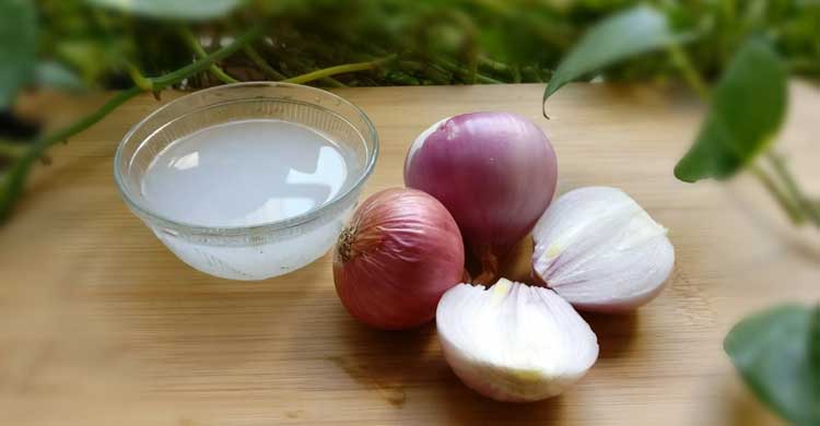 ঘরোয়া উপায় ভ্রু ঘন করুন সহজে