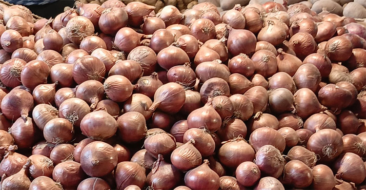 চালের দাম নিম্নমুখী, ৪০ টাকা বেড়েছে পেঁয়াজে