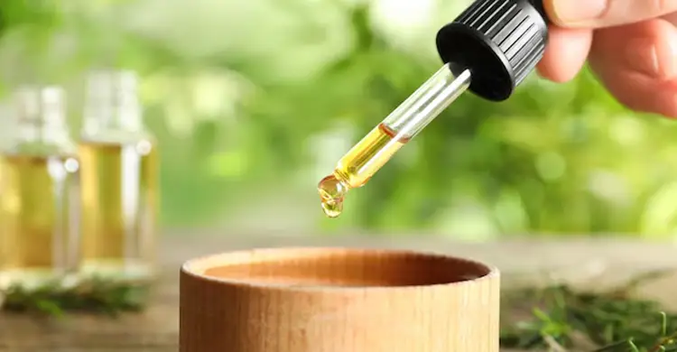 পদ্ম ফুলে লুকানো রয়েছে ঝলমলে চুলের রহস্য