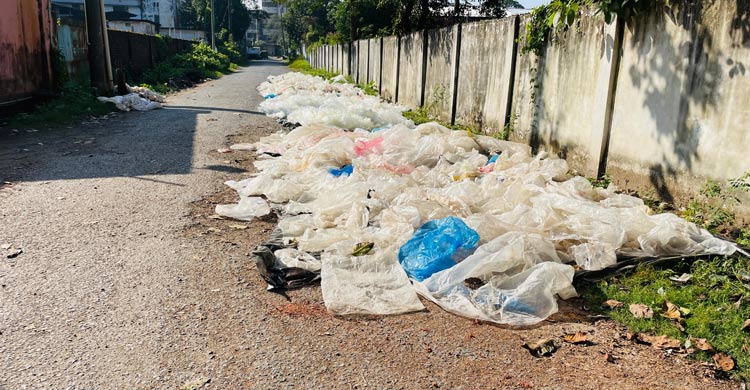 আবর্জনায় ভরা ফেনী বিসিক শিল্পনগরী, কর্তৃপক্ষ বলছে বাজেট কম