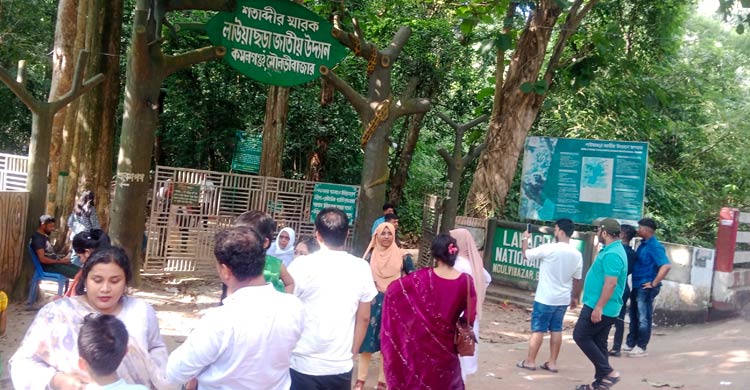 লাউয়াছড়া জাতীয় উদ্যানে প্রাণীদের অবাধ বিচরণ কমে গেছে, কারণ কী?