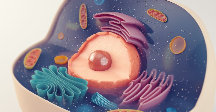 ২০২৫-এ চিকিৎসাবিজ্ঞানে আশা জাগানো ৮ সাফল্য