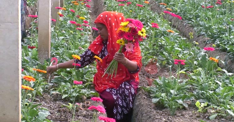 ৫ দিবস টার্গেট, শতকোটি টাকার ফুল বিক্রির আশা