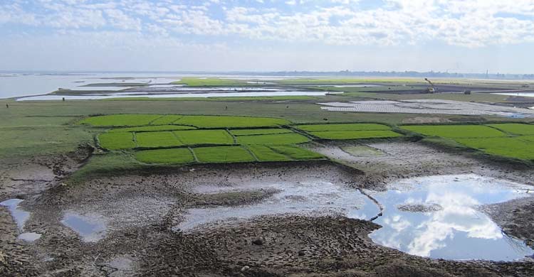 দুয়ারে নির্বাচন, বাঁধের কাজ নিয়ে শঙ্কায় হাওরের কৃষকরা