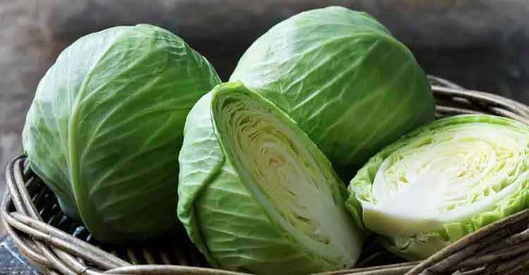 বাঁধাকপি খাওয়ার আগে জানুন ধোয়ার সঠিক নিয়ম