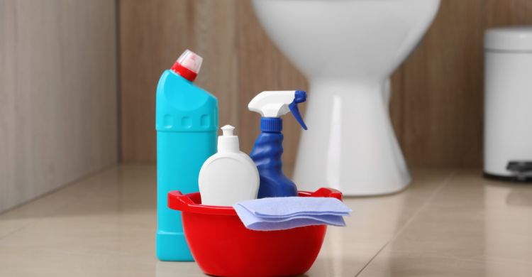 টয়লেট পরিষ্কার করার সময় এই ভুলগুলো করছেন কিনা মিলিয়ে নিন