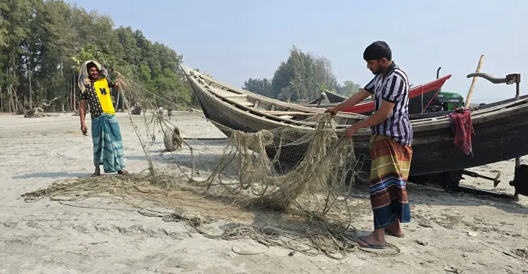 সাগরে ভেসে আসছে হাজার মৃত জেলিফিশ, মাছ ধরা বন্ধ