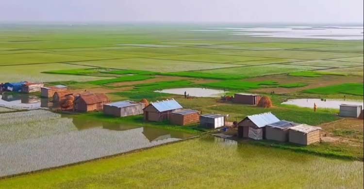 হাওরে পরিবারহীন জিরাতিদের জীবনে নেই ঈদের ছোঁয়া