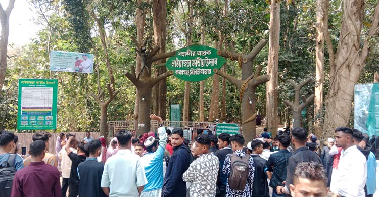 লাউয়াছড়ায় বেসামাল পর্যটক, বনে অস্থিরতা আতঙ্কে প্রাণীরা