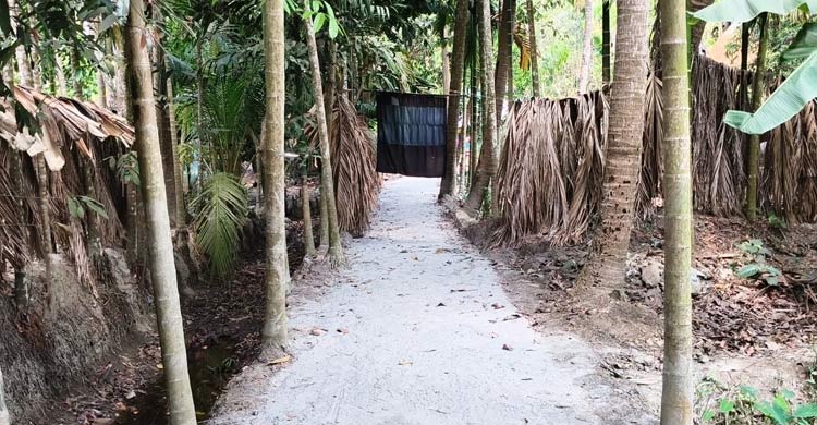 সরকারি রাস্তার বরাদ্দের ইট দিয়ে নিজ বাড়ির রাস্তা করলেন ইউপি সদস্য