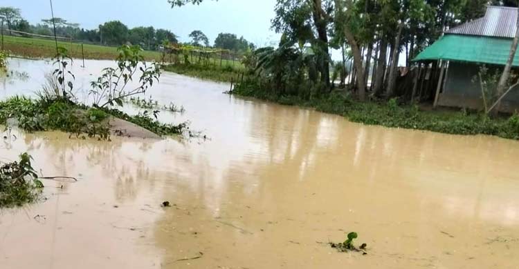 টানাবৃষ্টি-পাহাড়ি ঢলে ৬ গ্রাম প্লাবিত, ডুবে গেছে ফসলি জমি