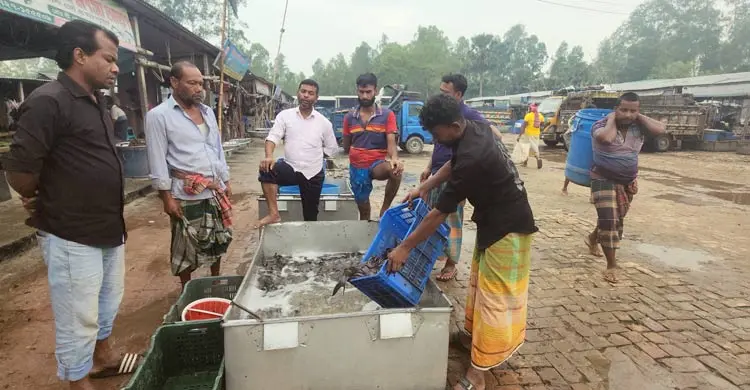 ৭ হাজার টাকা পর্যন্ত বেড়েছে ট্রাকভাড়া, বাড়ছে মাছের দাম